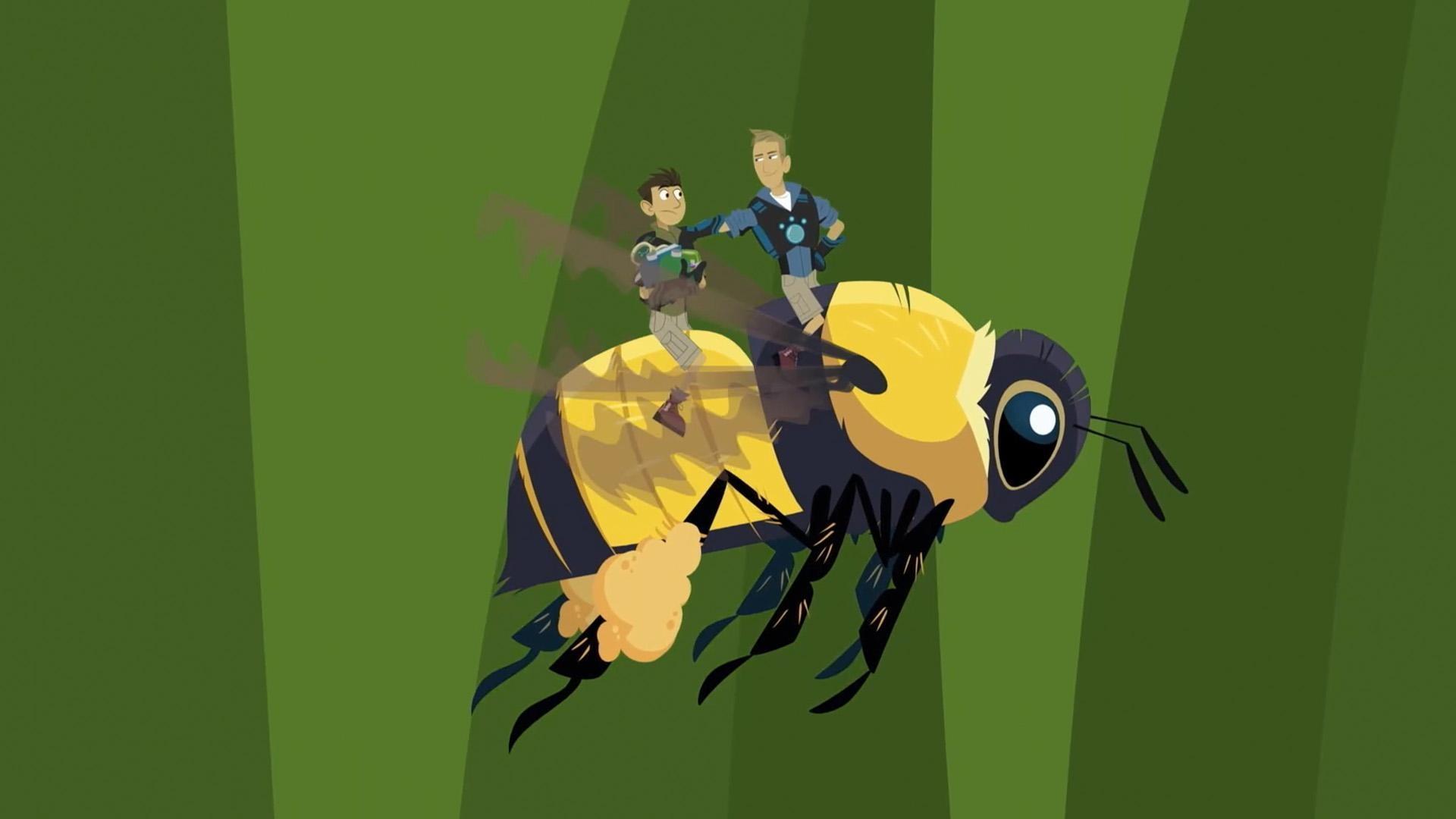 Martin and Chris go on a "mini" creature adventure and learn about bumblebees.