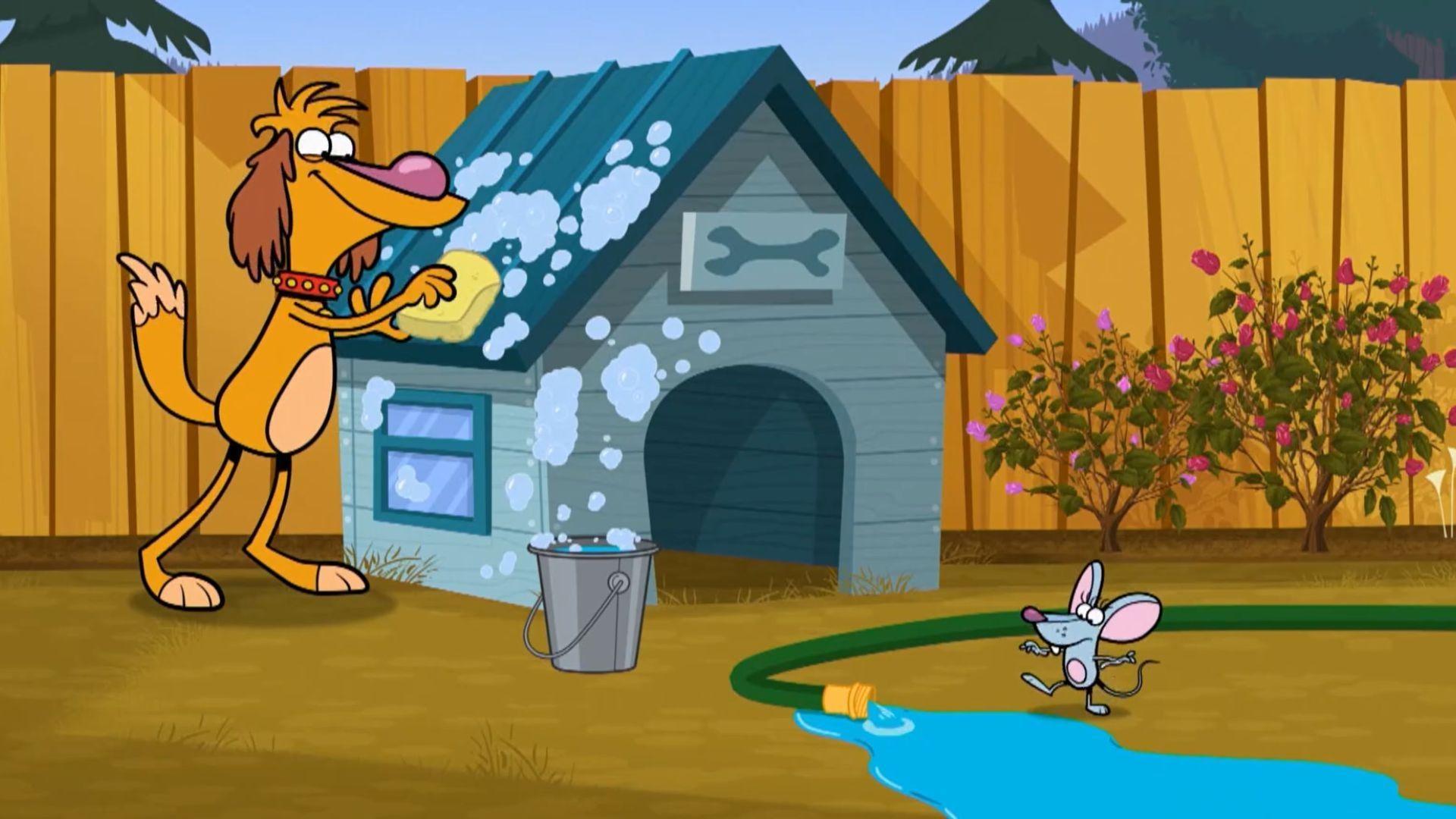 Nature Cat nature chats all about droughts!