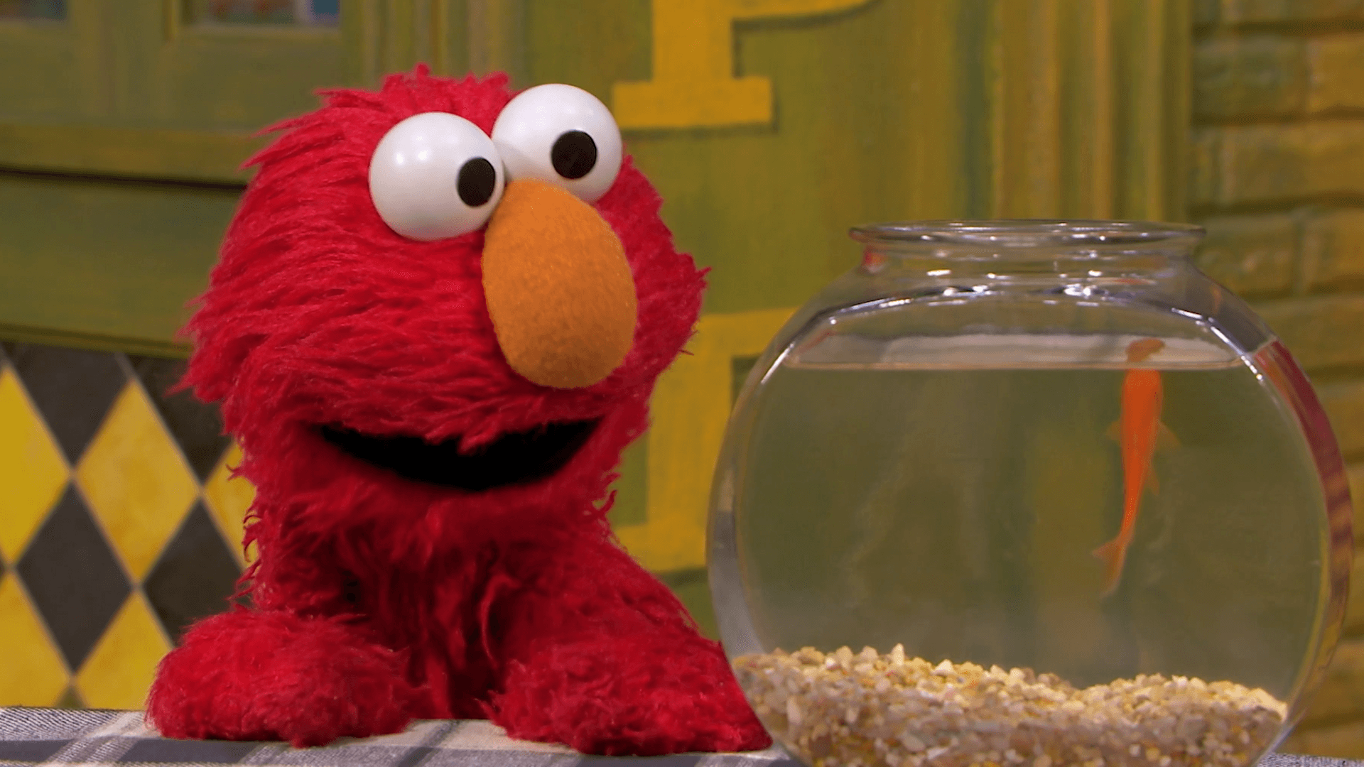 Abby turns Sesame Street into a magical ocean so Dorothy can swim anywhere she likes.