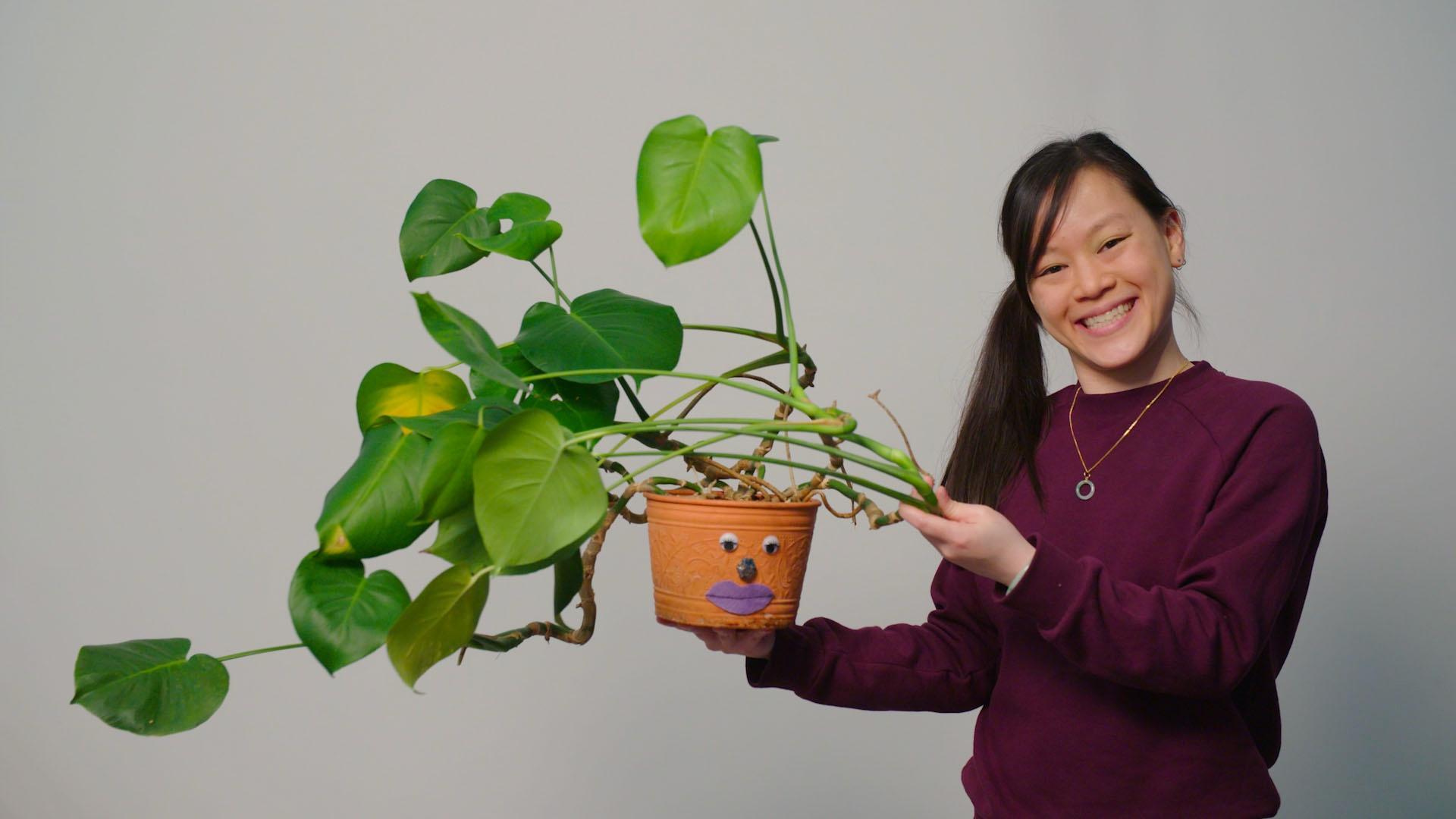 Join Katie and guest, Sabine, as they create some funky leafy hairstyles for their plants!