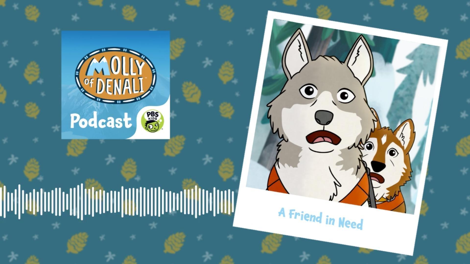 The race is back on and Molly is eager to get her team on the trail!