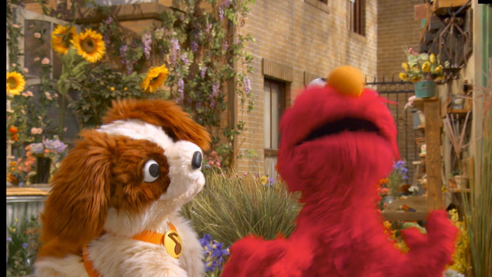 Elmo sings about his pet dog Tango.