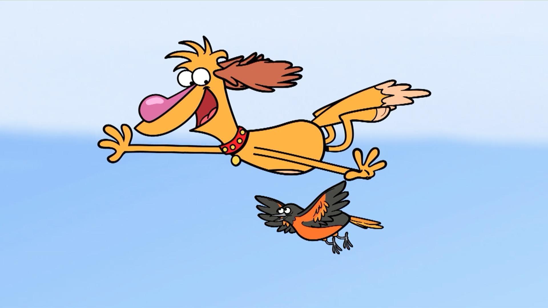 Hal would do anything to be a birdie for just one day.