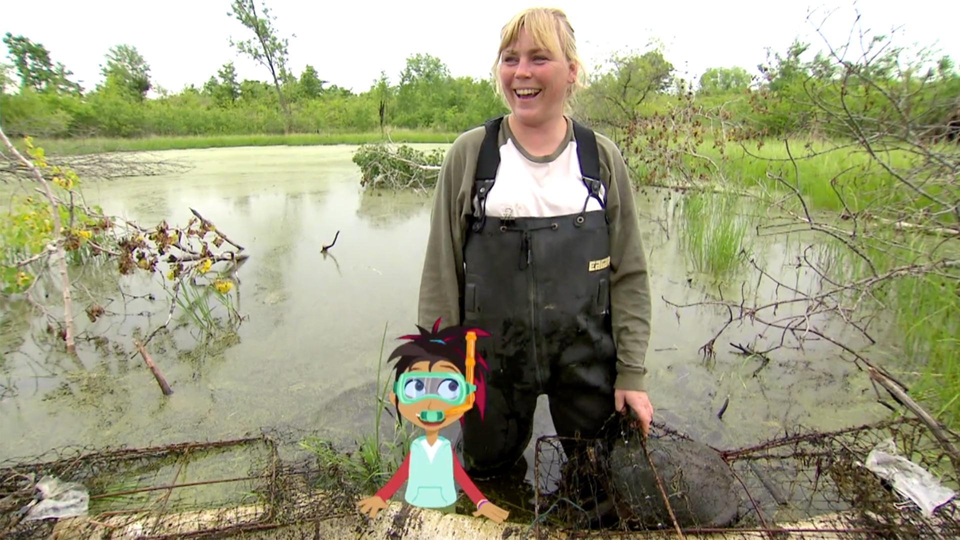 Izzie joins Annie and her friends to make a local wetland more attractive to turtles.