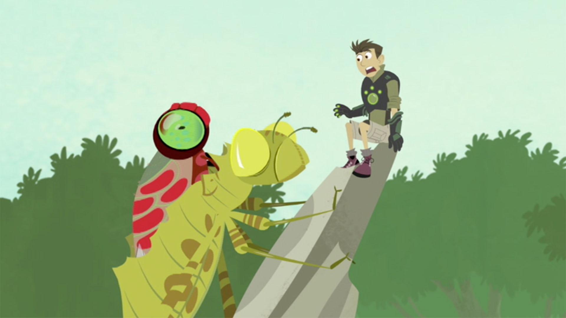 The Wild Kratts crew goes on an adventure to figure out why mosquitoes prey on humans.
