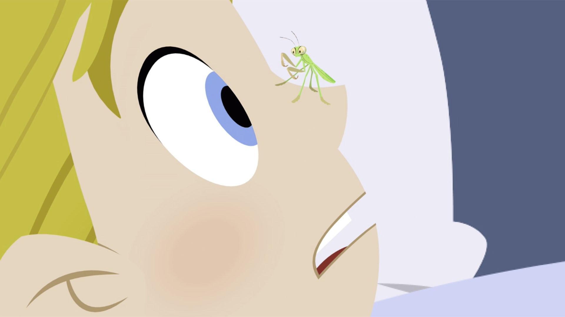 The Tortuga crew swoops in to return over 200 baby praying mantises to the wild.