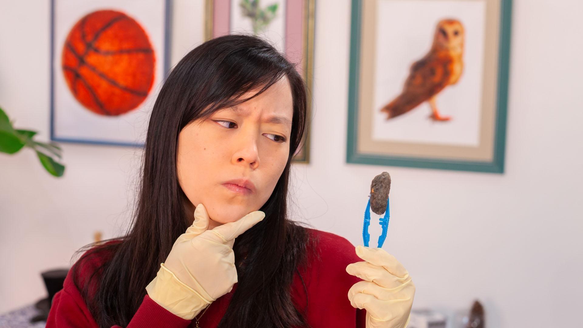 Join Katie and her special guest, Donovan, as they explore what's inside owl pellets!